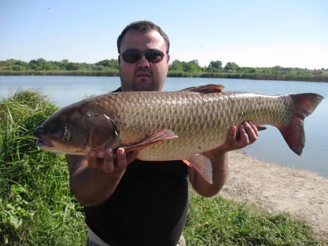 pescuit 2013 - img1627.JPG